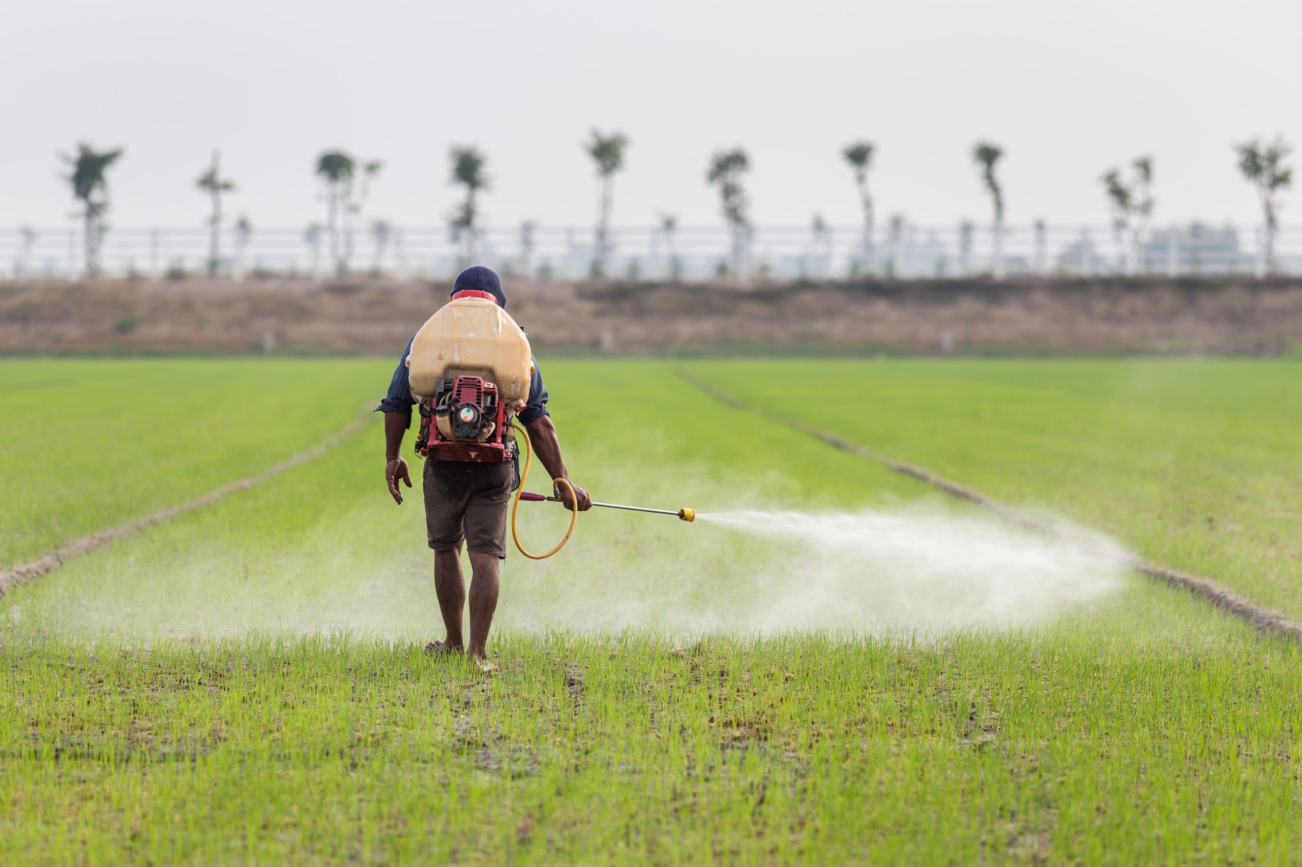 India Herbicide Market Outlook to 2035 India-Herbicide-Market-scaled