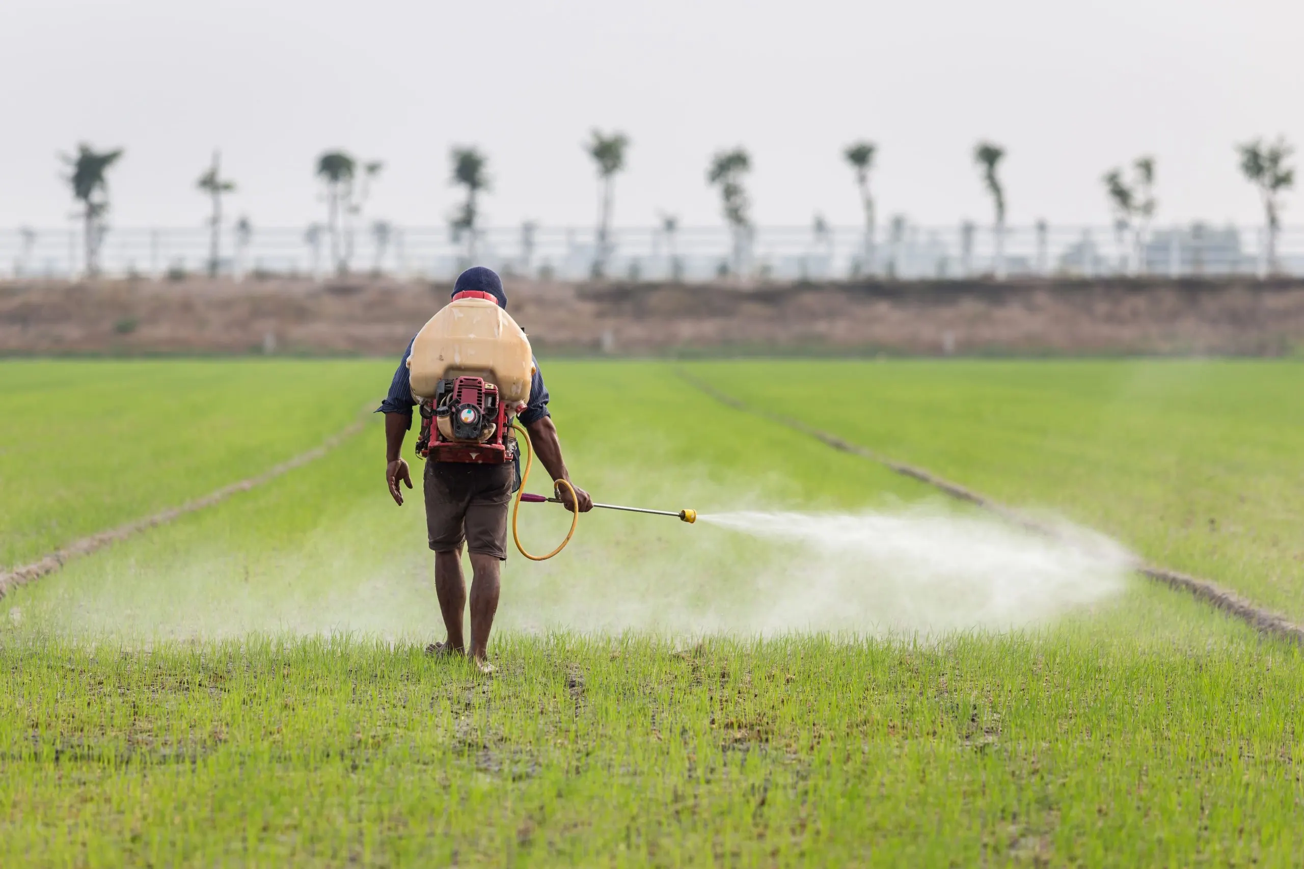 India Herbicide Market Outlook to 2035 India-Herbicide-Market-scaled