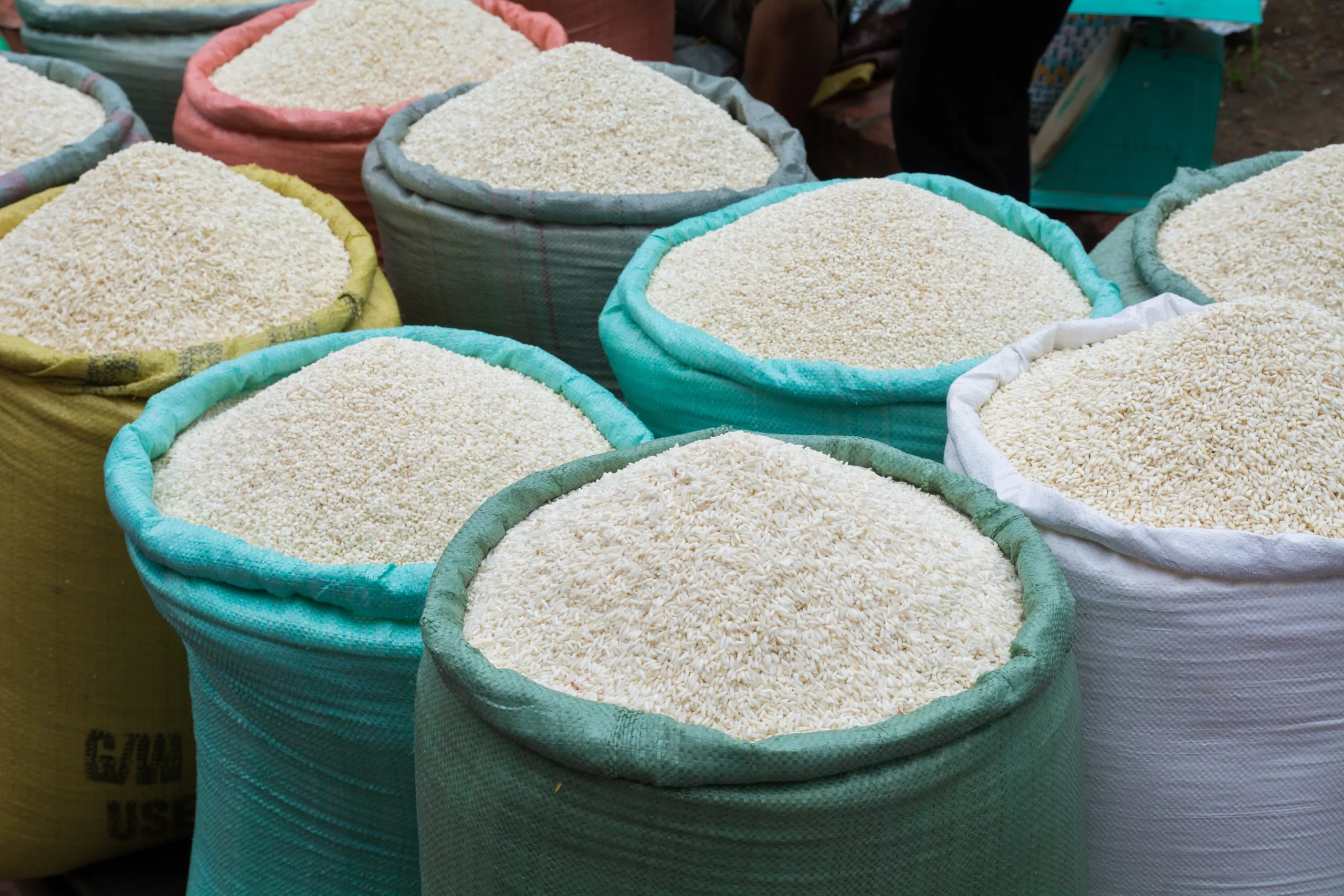 India Rice Milling Machinery Market Outlook to 2035 India-Rice-Milling-Machinery-Market-scaled