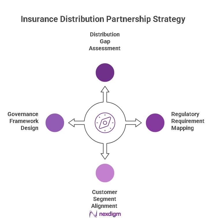 Insurance Distribution Partnerships Strategy