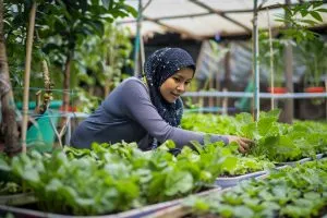 KSA Fertilizer Market Outlook to 2035