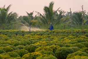 KSA Herbicide Market Outlook to 2035