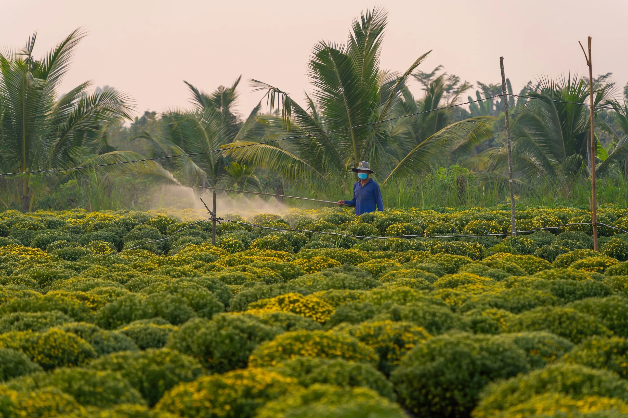 KSA Herbicide Market Outlook to 2035 KSA-Herbicide-Market-scaled