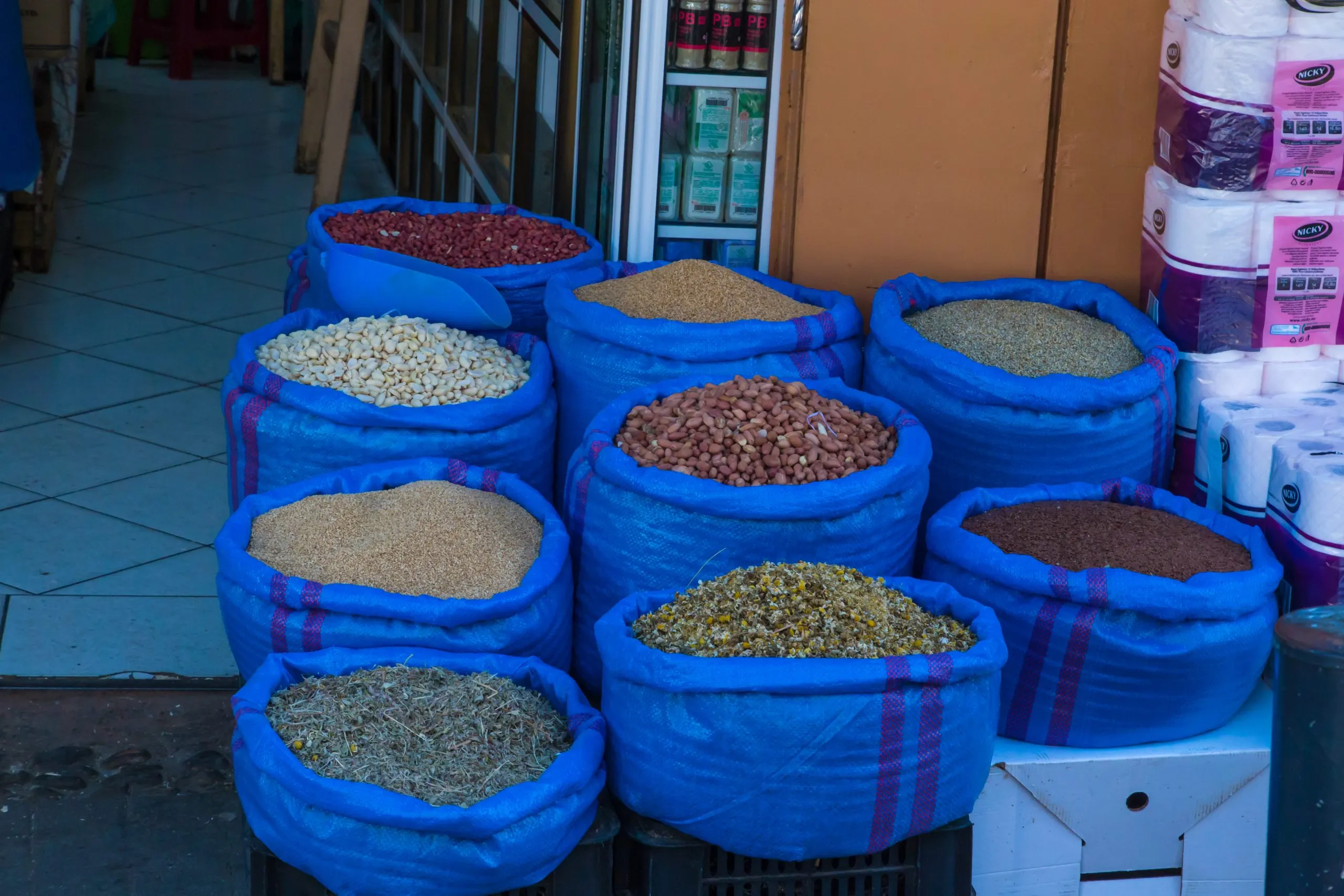 KSA Vegetable Seed Market Outlook to 2035 KSA-Vegetable-Seed-Market-scaled