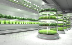 KSA Vertical Farming Market Outlook to 2035