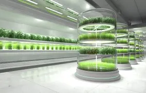 KSA Vertical Farming Market Outlook to 2035