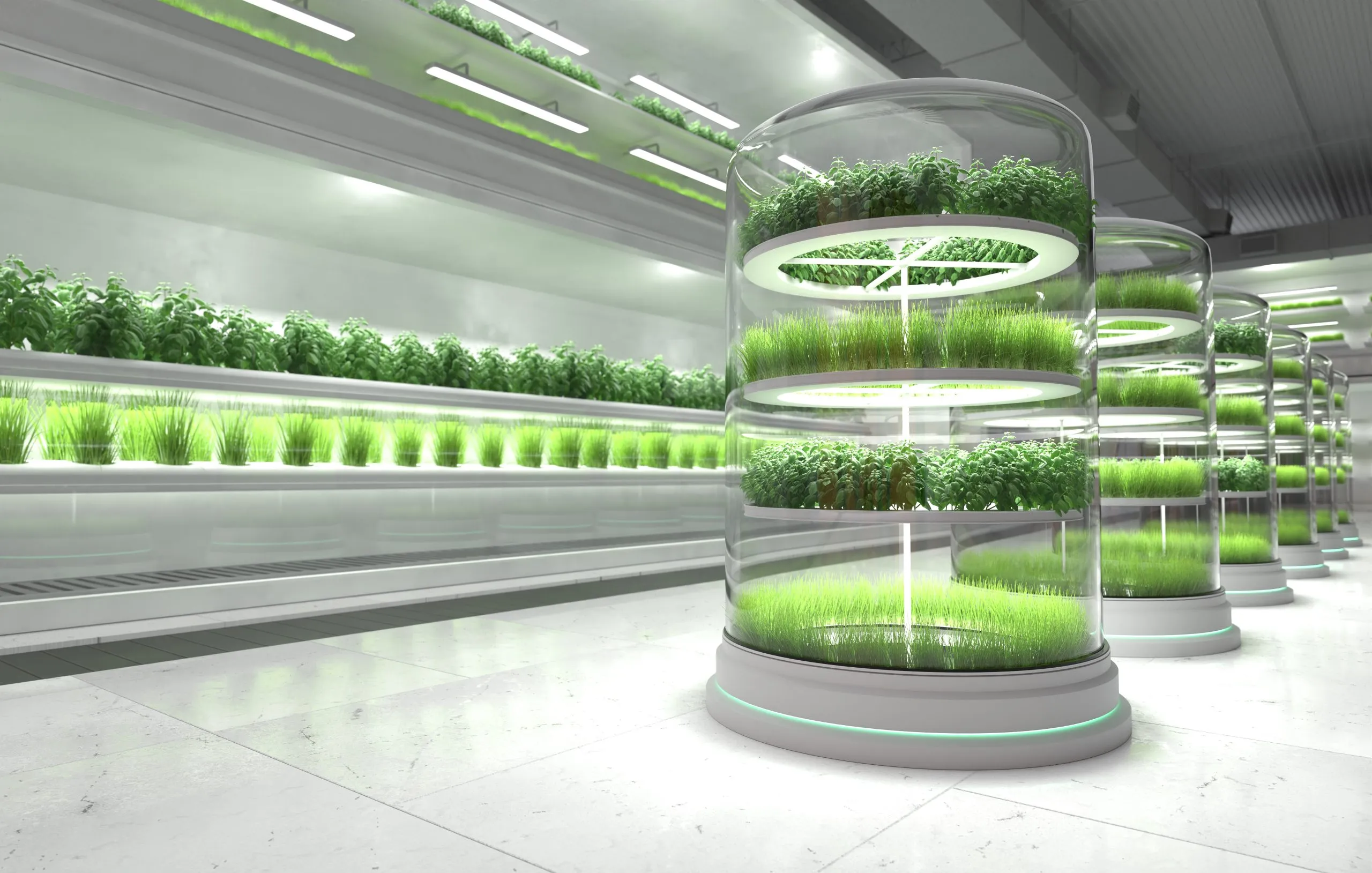 KSA Vertical Farming Market Outlook to 2035 KSA-Vertical-Farming-Market-scaled