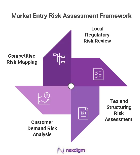 Market Entry Risk Assessment Framework