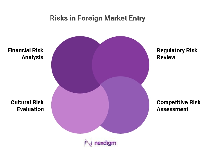 Market Entry Risk Assessment