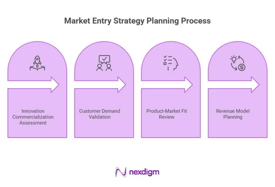 Market Entry Strategy Planning
