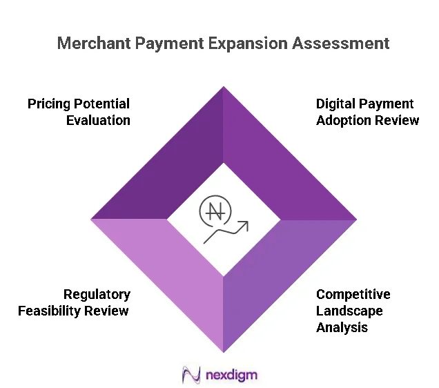 Merchant Payment Expansion Assessment