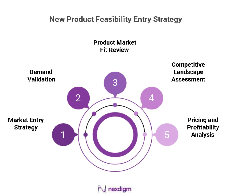 New Product Feasibility Analysis