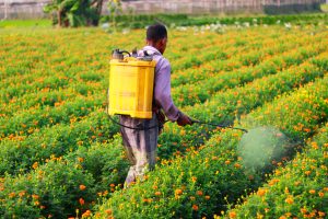 Nigeria Agricultural Sprayers Market Outlook to 2035