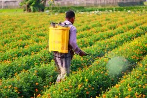 Nigeria Agricultural Sprayers Market Outlook to 2035