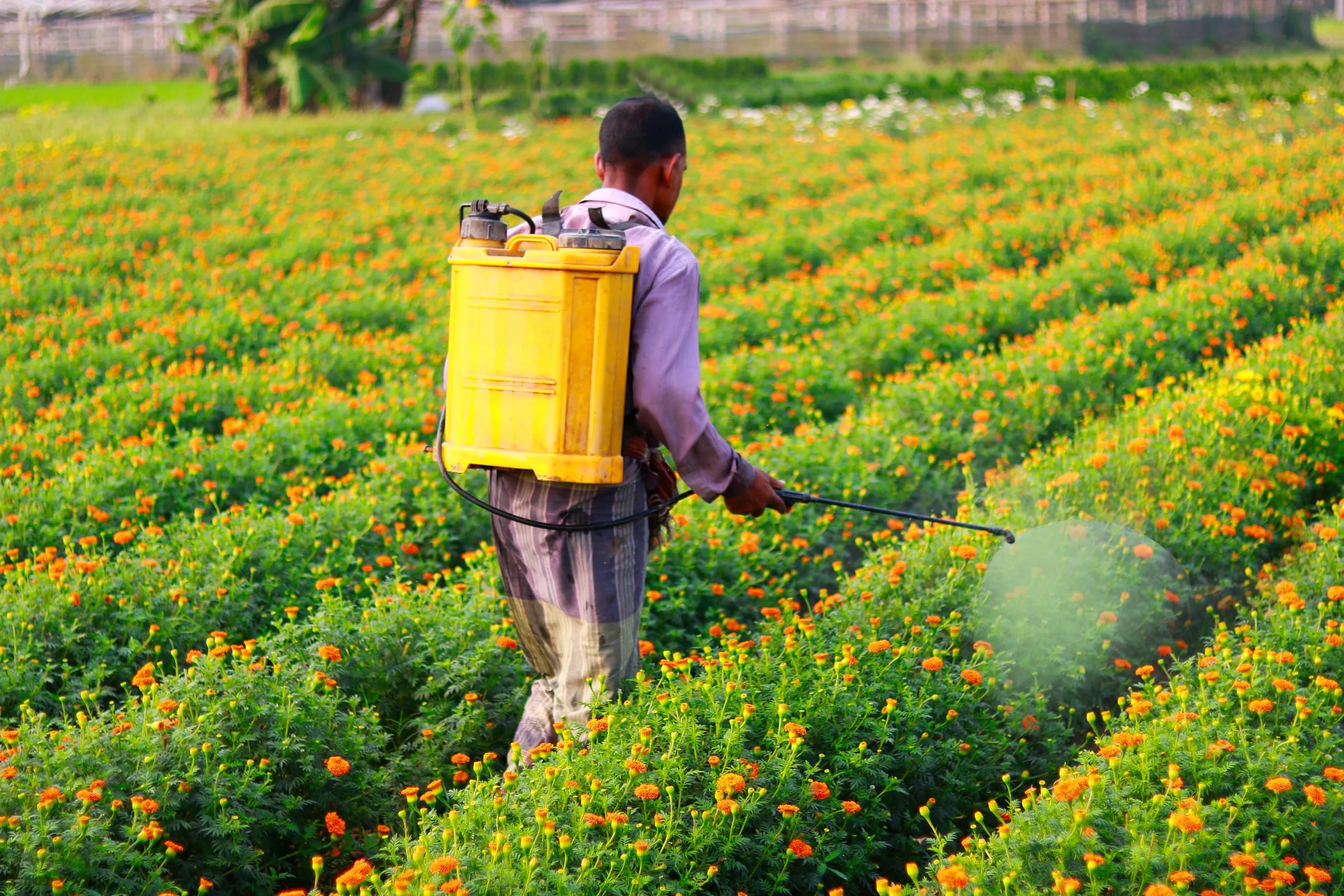 Nigeria Agricultural Sprayers Market Outlook to 2035 Nigeria-Agricultural-Sprayers-Market-scaled