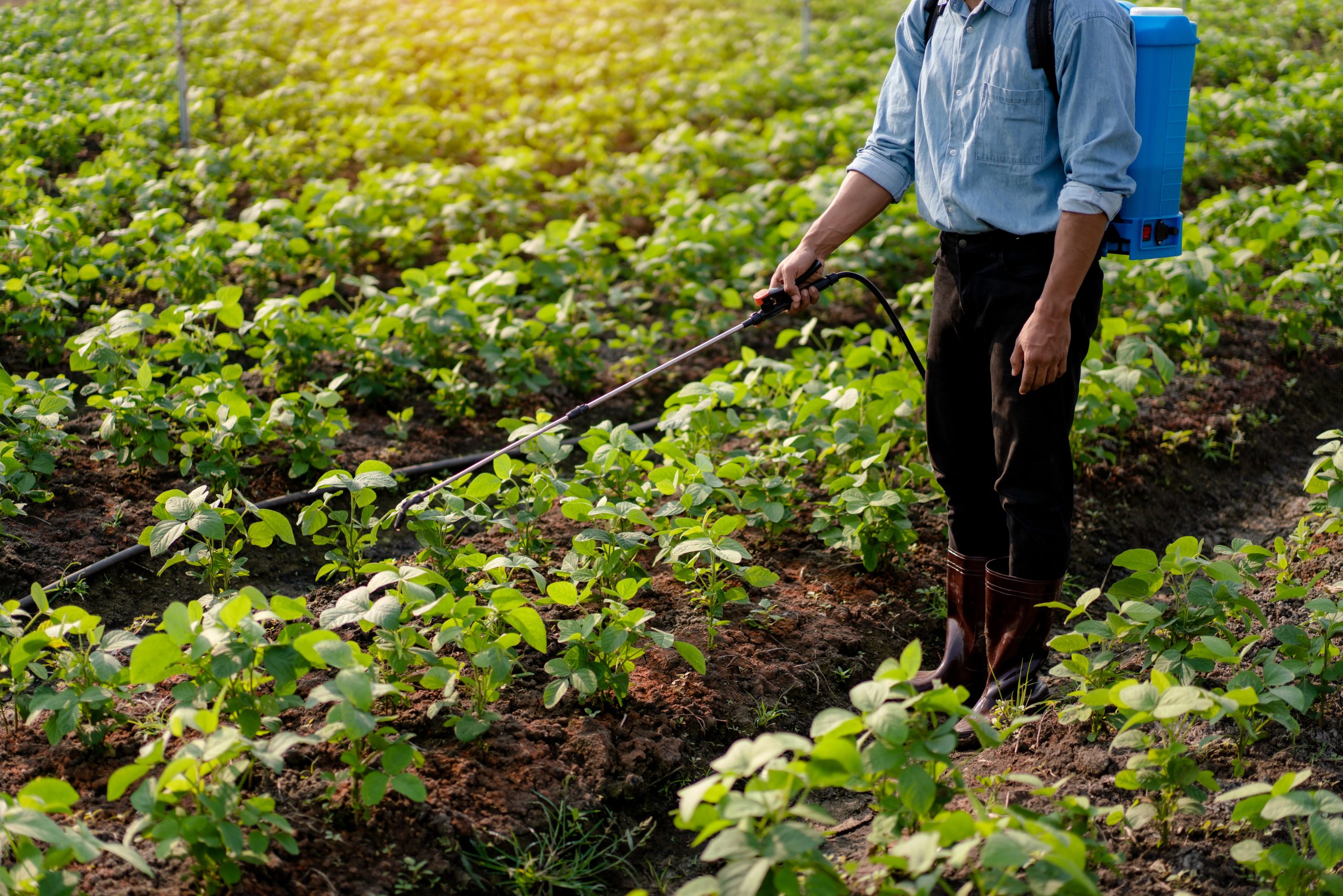 Nigeria Crop Protection Pesticides Market Outlook to 2035 Nigeria-Crop-Protection-Pesticides-Market-scaled