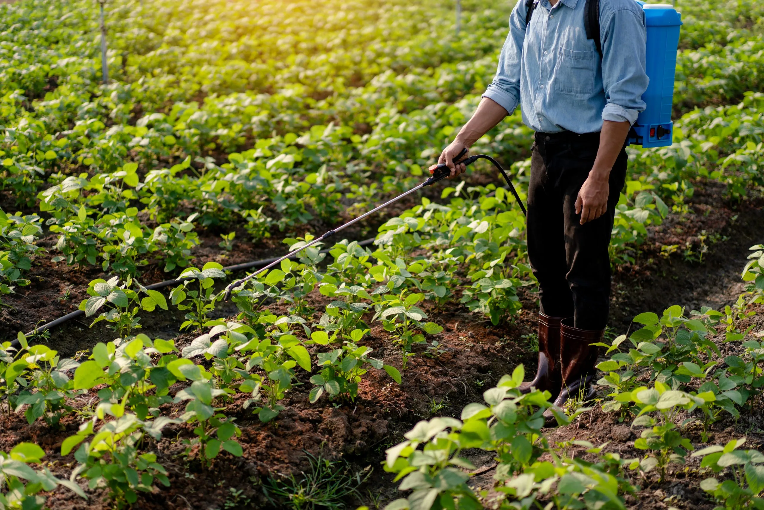 Nigeria Crop Protection Pesticides Market Outlook to 2035 Nigeria-Crop-Protection-Pesticides-Market-scaled