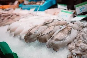 Nigeria Frozen Seafood Market Outlook to 2035