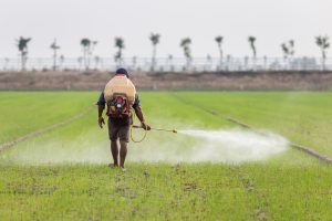 Nigeria Herbicide Market Outlook to 2035