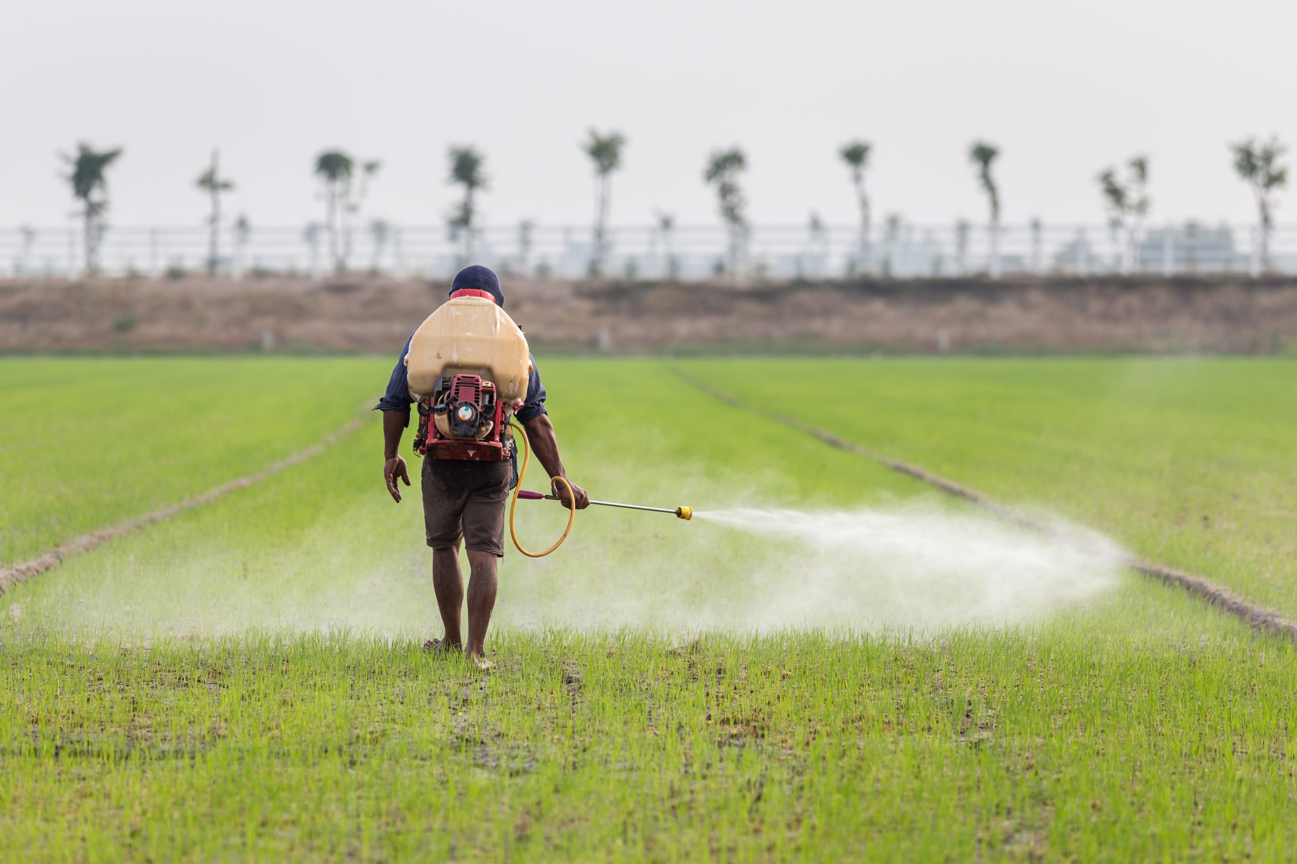 Nigeria-Herbicide-Market-scaled