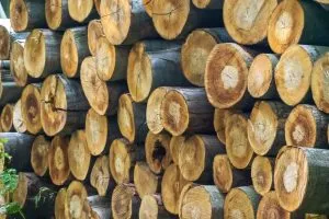 Nigeria Sawnwood Market Outlook to 2035