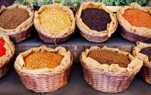 Nigeria Vegetable Seed Market Outlook to 2035