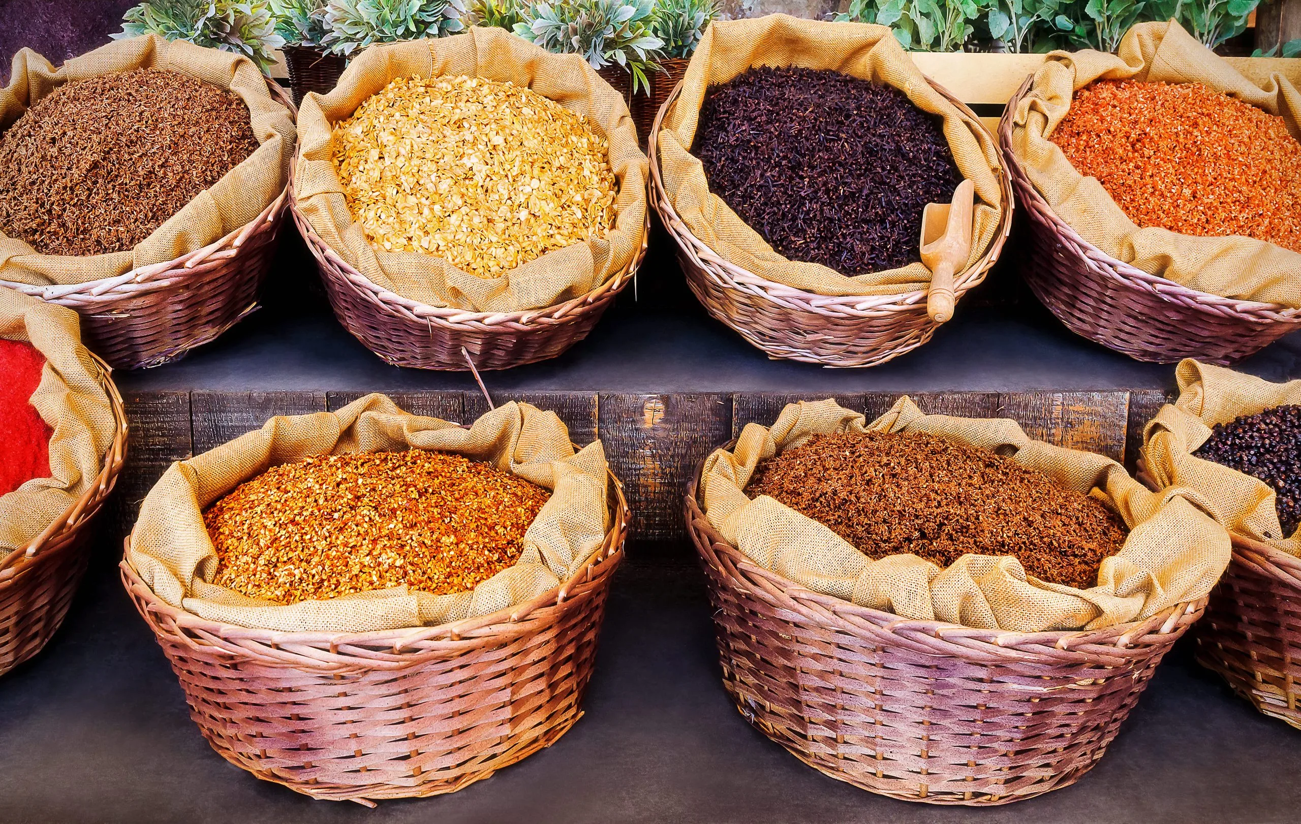 Nigeria Vegetable Seed Market Outlook to 2035 Nigeria-Vegetable-Seed-Market-scaled