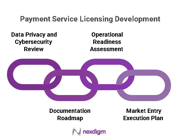 Payment Services Licensing Strategy
