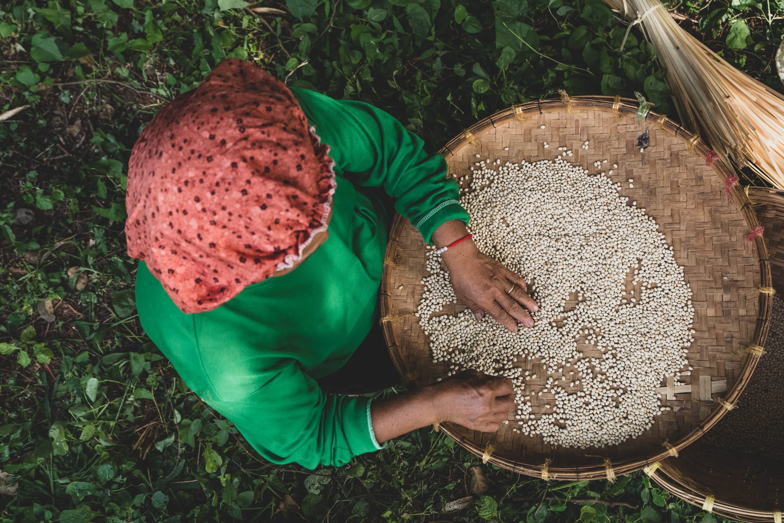 Philippines Fertilizer Market Outlook to 2035 Philippines-Fertilizer-Market-scaled