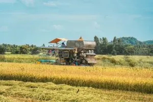 Philippines Rice Milling Machinery Market Outlook to 2035