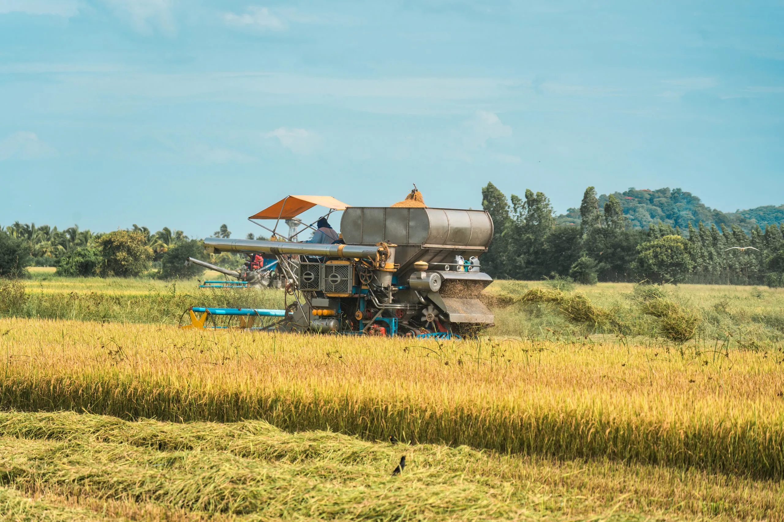 Philippines Rice Milling Machinery Market Outlook to 2035 Philippines-Rice-Milling-Machinery-Market-scaled