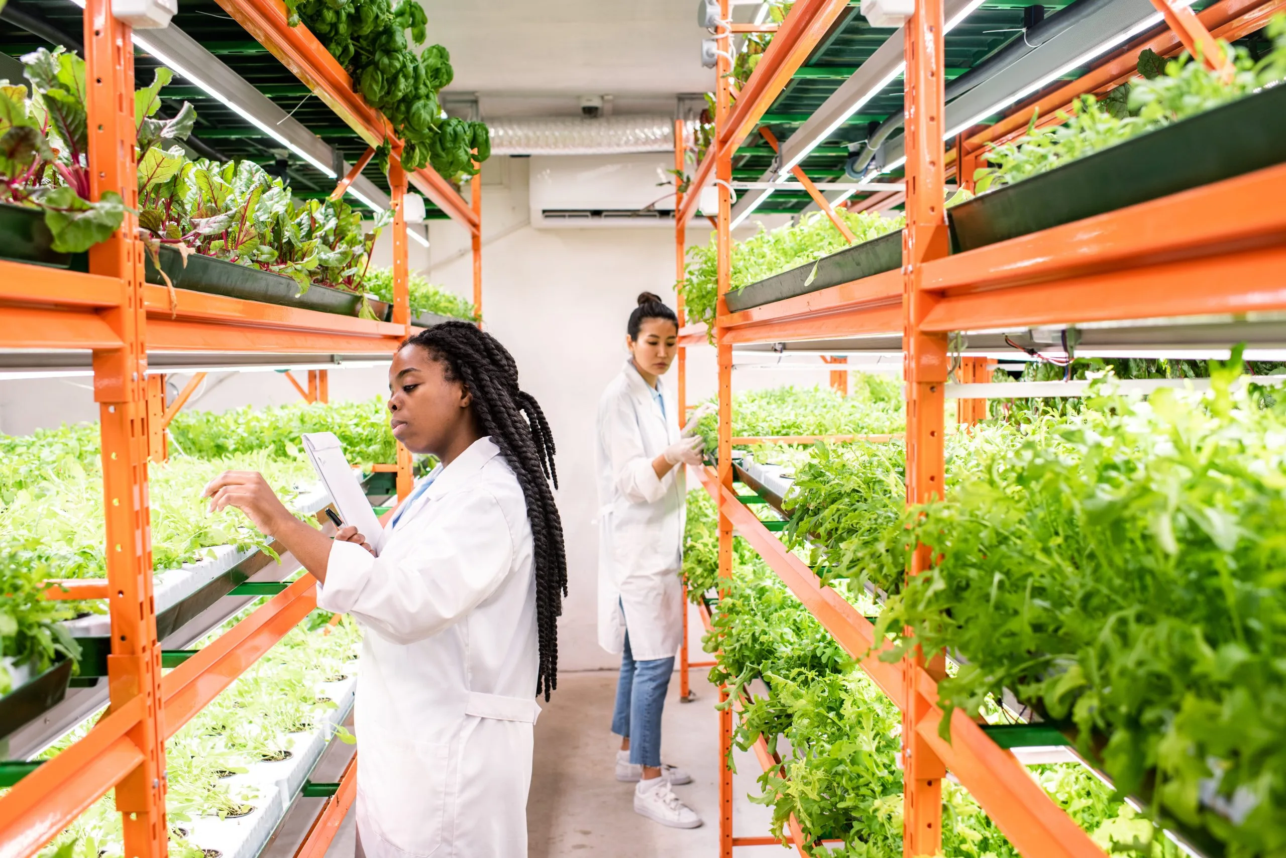 Philippines Vertical Farming Market Outlook to 2035 Philippines-Vertical-Farming-Market-scaled