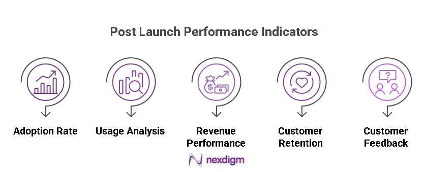 Post-Launch Performance Indicators