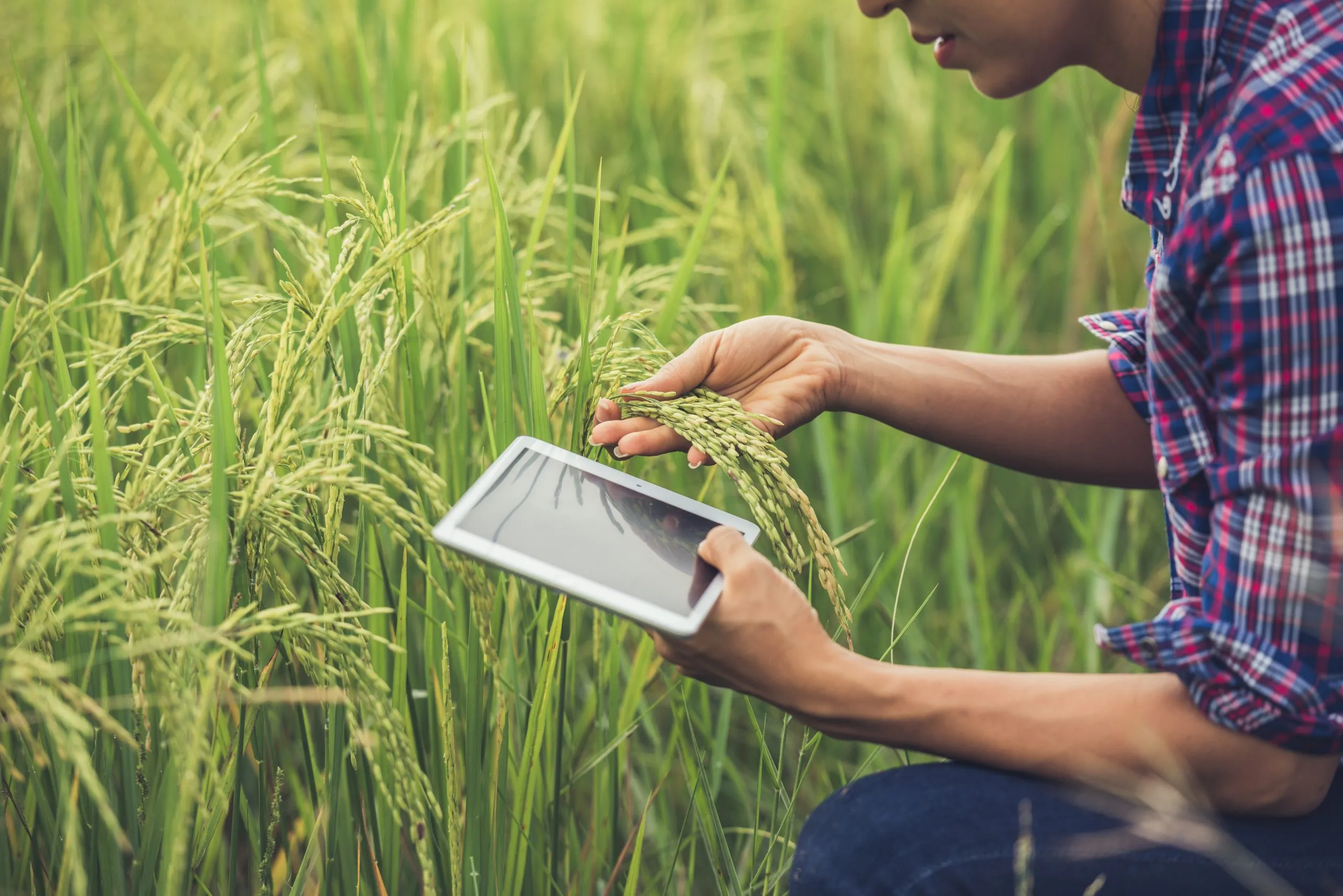 Precision Agriculture Strategies Gain Momentum as Farms Pursue Higher Yields and Resource Efficiency Precision-agriculture-market-entry-strategy-scaled