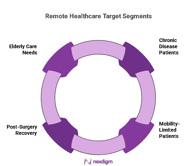 Remote Health Care Patient Segments