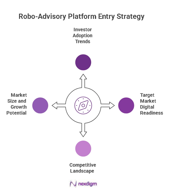 Robo-Advisory Platform Entry