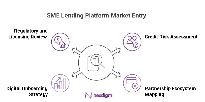 SME Lending Platform Market Entry Strategy