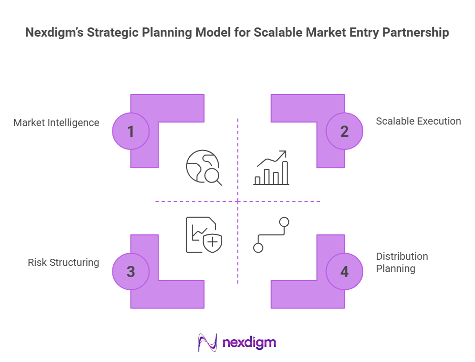 Scalable Market Entry Partnership Model