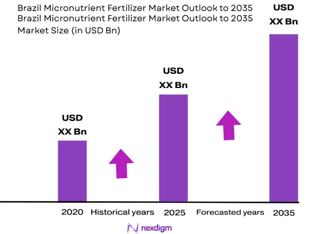 Brazil micronutrient fertilizer market size