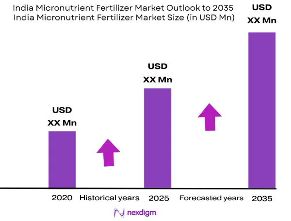India Micronutrient Fertilizer Market size