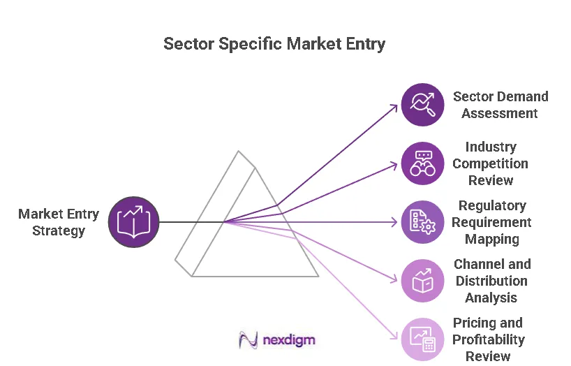 Sector-Specific Entry Challenges