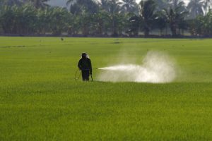 Singapore Fertilizer Market Outlook to 2035