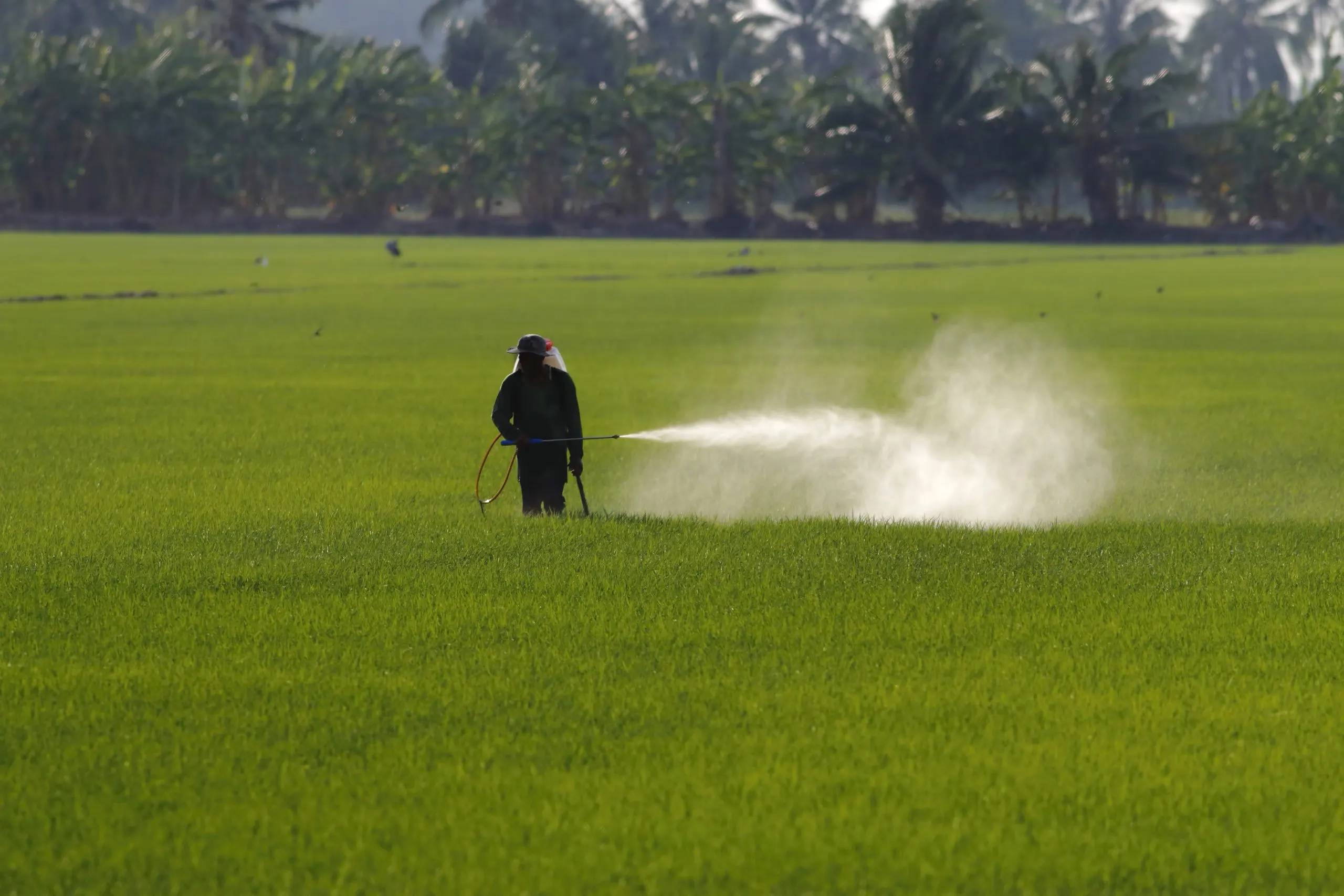 Singapore Fertilizer Market Outlook to 2035 Singapore-Fertilizer-Market-scaled