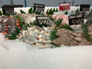 Singapore Frozen Seafood Market Outlook to 2035