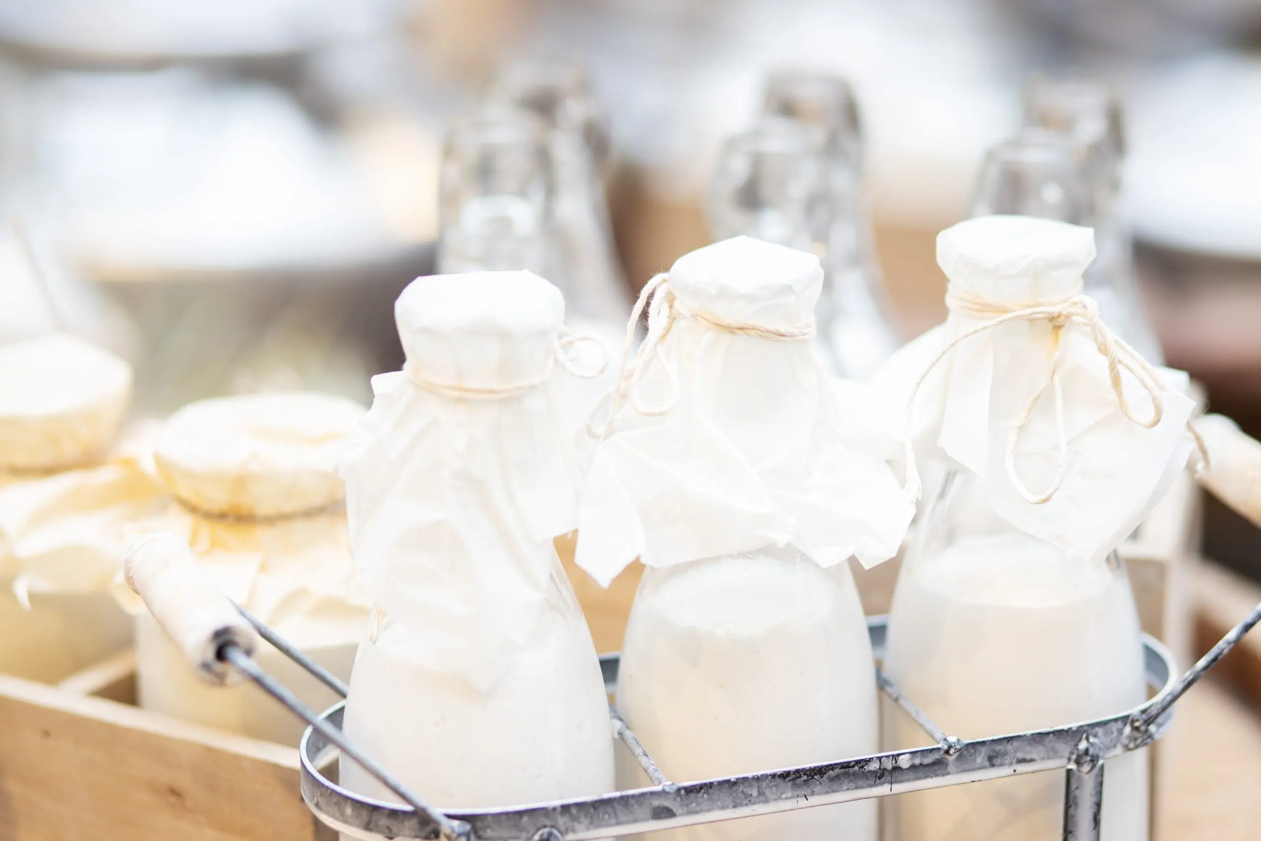 Singapore Reconstituted Milk Market Outlook to 2035 Singapore-Reconstituted-Milk-Market-scaled