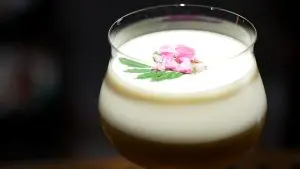 Singapore Sour Milk Drinks Market Outlook to 2035