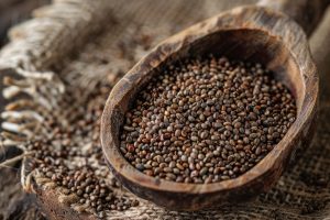 Singapore Vegetable Seed Market Outlook to 2035