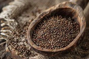 Singapore Vegetable Seed Market Outlook to 2035