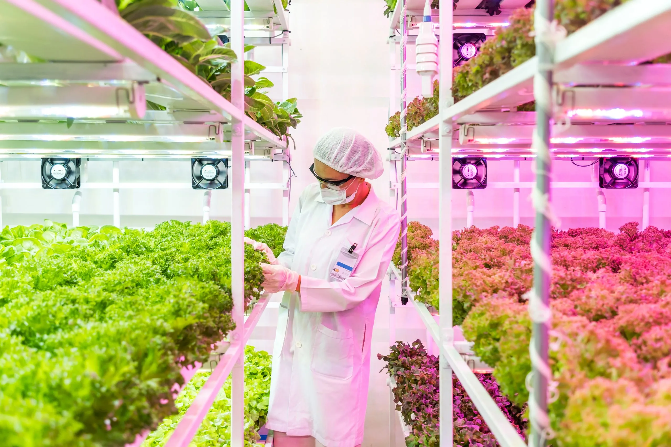 Singapore Vertical Farming Market Outlook to 2035 Singapore-Vertical-Farming-Market-scaled
