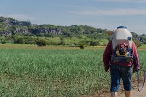 South Africa Crop Protection Pesticides Market Outlook to 2035